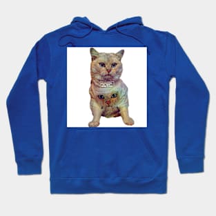 cat Hoodie